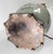 19th Century Chinese Celadon Green Floral Ginger Jar Table Lamp in Famille Rose Palette For Sale - Image 12 of 12