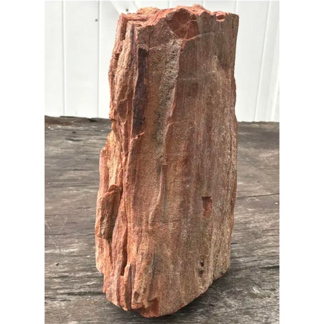 Petrified Wood Sculpture, Organic Modern Design, #2 For Sale - Image 12 of 13