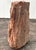 Petrified Wood Sculpture, Organic Modern Design, #2 For Sale - Image 12 of 13