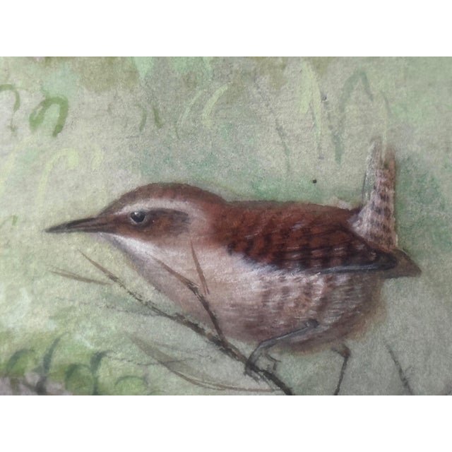 A Winter Gathering: Robin and Mixed British Songbirds — Original Watercolor on Paper in the Tradition of Archibald Thorburn For Sale - Image 12 of 18