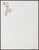 Carl Andre (American, 1935-2024), "Yucatan", Xerox Poem Page, 1973, from "A Portfolio of Prints to Commemorate the...