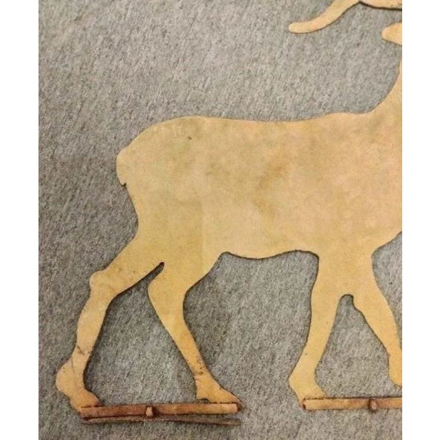 19thc Stag Trade Sign in Original Mustard Paint For Sale - Image 4 of 6