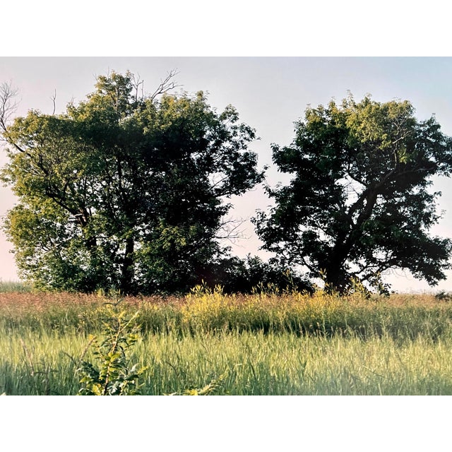 Everts Township Homestead, Summer, 1993 Fabulous American landscape photography of a rural landscape scene. from small...