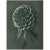 An exquisite original period black-and-white Photogravure N91 of Phacelia tanacetifolia, enlarged 12 times, by German...