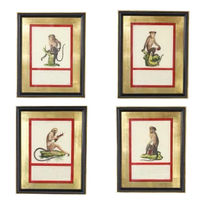 Set of Four Hand Colored Monkey Prints