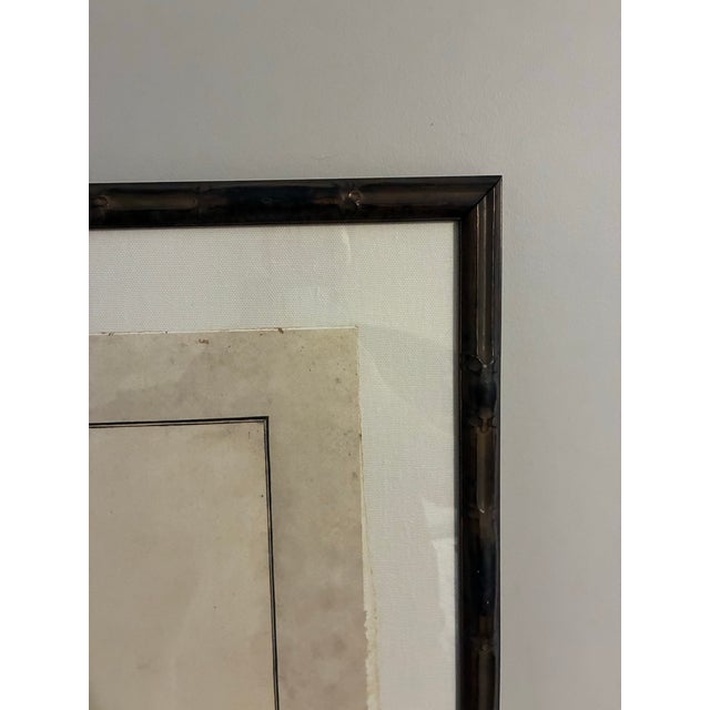 Natural Curiosities “Bee Cuckoo” After James Bruce Framed Bird Print For Sale In Charlotte - Image 6 of 9