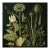 Dark Green Antique Botanical Garden Study No. 7 - Natural History Fine Art Print For Sale