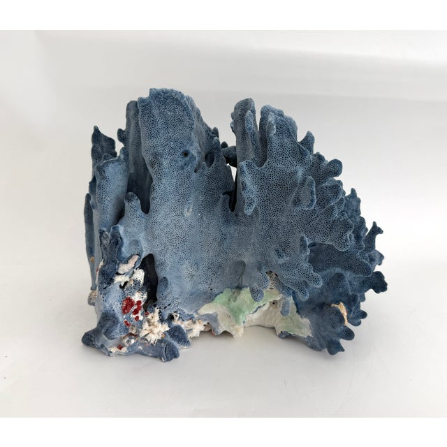 Late 20th Century Designer Size Natural Blue Coral Specimen For Sale - Image 5 of 7