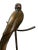 1980s 1980s Monumental Hand-Carved Wood Parrot Sculpture on Brass Stand — 58” Tall For Sale - Image 5 of 10