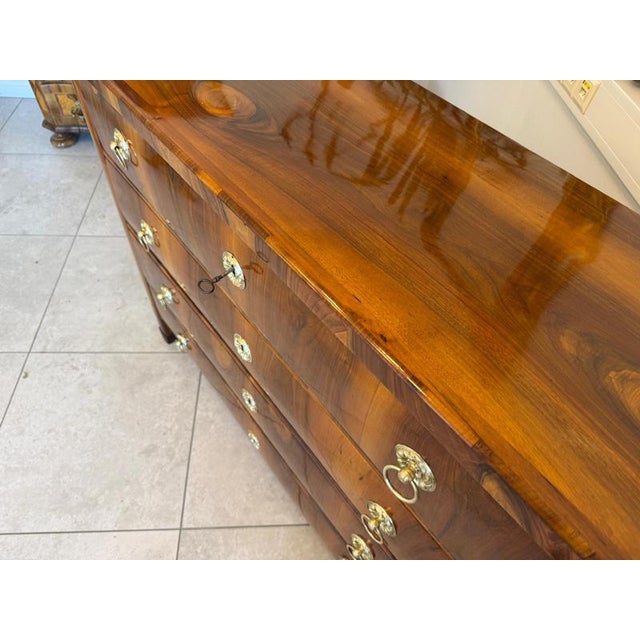Antique Biedermeier Chest of Drawers in Walnut For Sale - Image 11 of 14