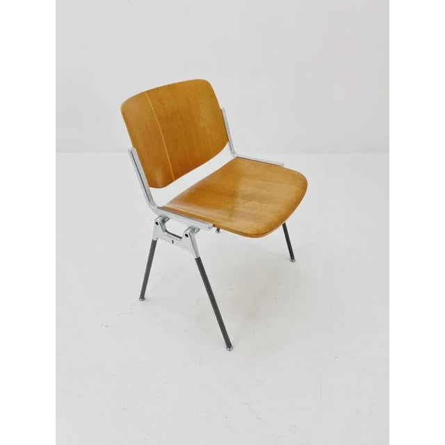 Wood Vintage Italian Castelli Chairs by Giancarlo Piretti, 1960s For Sale - Image 7 of 12