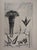 Bernard Buffet, Nature morte aux bouquet et aux fruits, Etching For Sale - Image 5 of 5