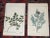 This set of seven (7) hand colored lithographs depicting leaves of North American trees from 1852. Period color. Printed...