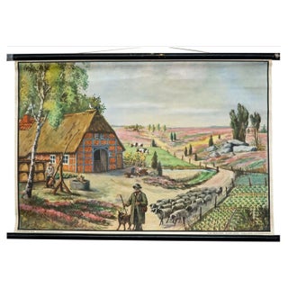 Lueneburg Heathlands Wall Chart Poster from Tellus For Sale