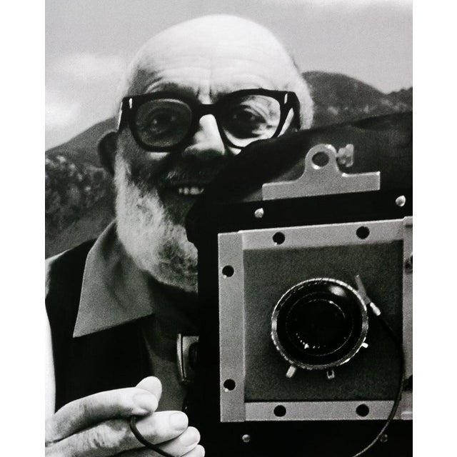Contemporary Apple Ansel Adams Poster For Sale - Image 3 of 6
