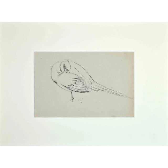 Sleeping Bird is an original pencil and pen drawing realized by Eugène Juillerat (1856 - 1925) in 1920. Good condition on...