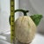 Vintage the Haldon Group Ceramic Cantaloupe Melon Pitcher For Sale In Houston - Image 6 of 7