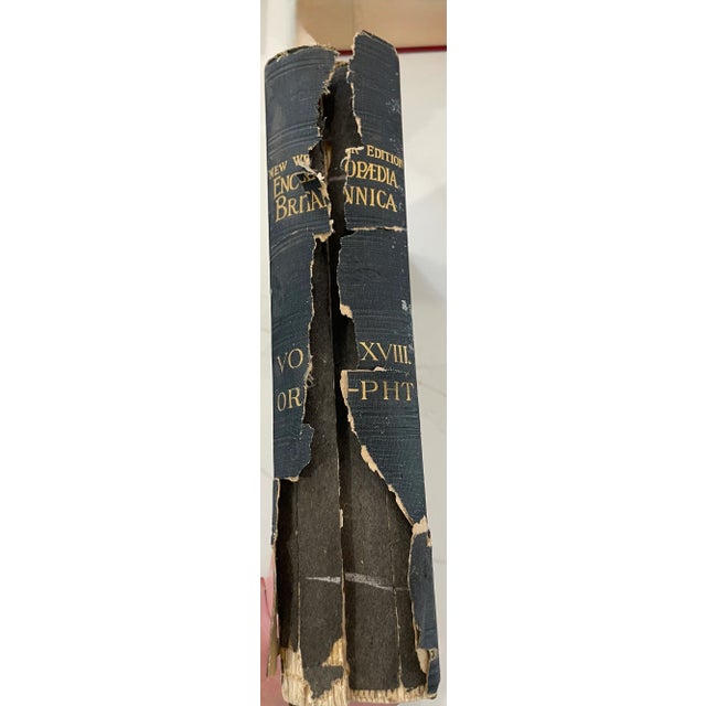 1904 Navy Blue & Gold Britannica Encyclopedia Set For Sale - Image 10 of 11