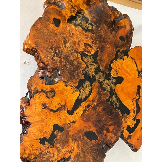 Gorgeous 1960 Tedeood Slab Stump Root Live Edge Coffee Table For Sale - Image 9 of 17
