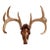 Authentic Large Decorative Copper Coated Deer Skull Rustic Cabin Decor Art For Sale
