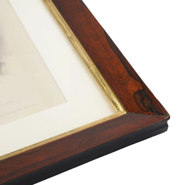 Engraving of Commodore Stephen Decatur by John Jarvis, 1825 For Sale In Chicago - Image 6 of 9