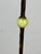 Green Antique Art Deco Uranium and Slag Glass Lamp C. 1920 For Sale - Image 8 of 14