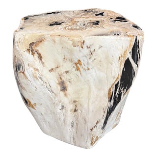 Andrianna Shamaris Multifaceted Modern Organic Petrified Wood Side Table For Sale