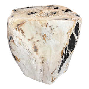 Andrianna Shamaris Multifaceted Modern Organic Petrified Wood Side Table