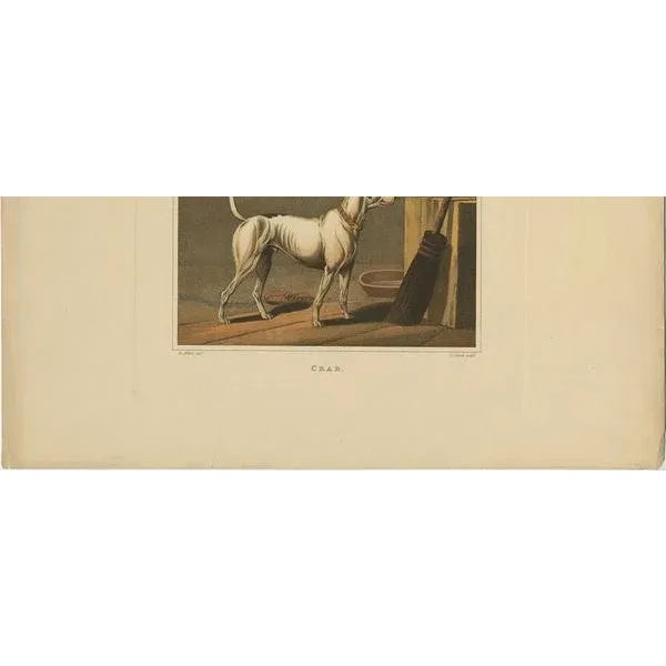 J. Clar after Henry Alken, Dog Named Crab by J. Clark, 1820, Aquatint on Paper For Sale - Image 4 of 9