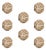 8-Piece Water Hyacinth Twisted Fill Decorative Ball Set, 4.75" For Sale