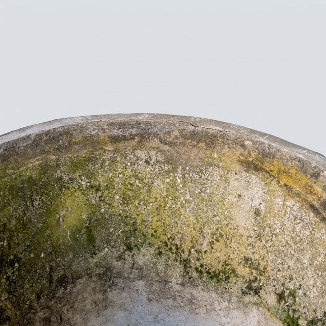 Large Medici Garden Basin, Early 20th Century For Sale - Image 4 of 14