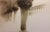 Michele Alassio, Venice 1954, Palazzo Ducale, 2000, Photography For Sale - Image 12 of 13