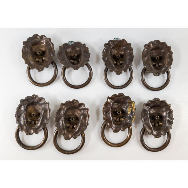 Early 20th Century Set of 8 Lion Head Form Drawer Handle Pulls For Sale - Image 10 of 13