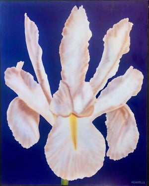 Clarence Measelle, Photorealism Still Life Acrylic Painting Flower Photo Realist Orchid, Vivid Blue