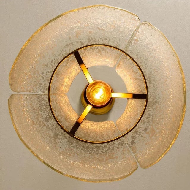 Flower Pendant Lamp from Hillebrand, Europe, Germany For Sale - Image 6 of 13