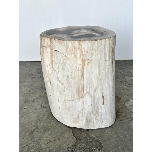 Side Table in Petrified Wood For Sale - Image 9 of 18