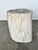 Side Table in Petrified Wood For Sale - Image 9 of 18