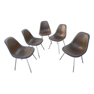 1980s Vintage Herman Miller Eames Side Chairs Set of 5. For Sale