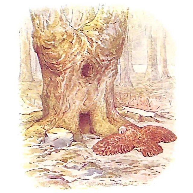 "The Tale of Squirrel Nutkin" 1918 Potter, Beatrix For Sale In New York - Image 6 of 9