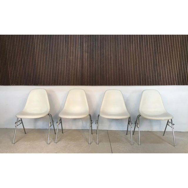This very nice set of four DSS side or dining chairs was manufactured in the 1950s and designed by Charles & Ray Eames....