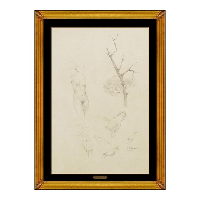 Early 20th Century Study of Nature, Armando Garcia Nuñez For Sale