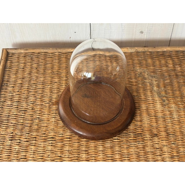 Mid-Century Modern Cloche For Sale In Dallas - Image 6 of 7