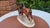 Porcelain Horse Figurine from Hertwig & Co., 1950s For Sale - Image 4 of 8