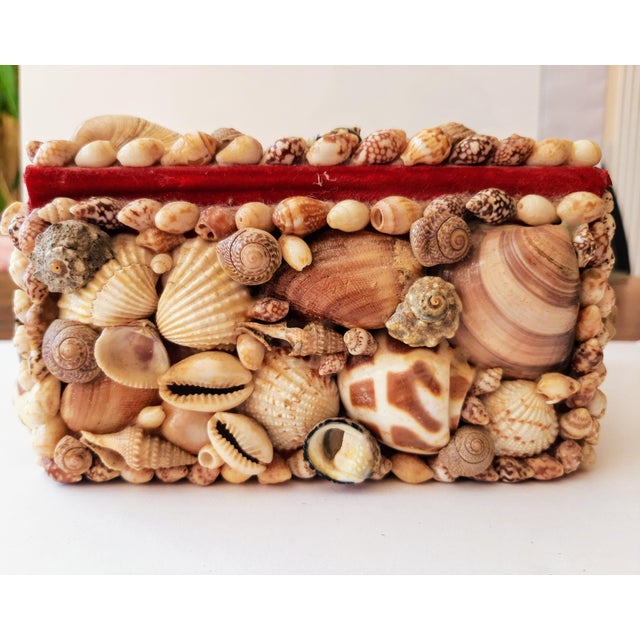 Textile Vintage Coastal Encrusted Shell Box For Sale - Image 7 of 12