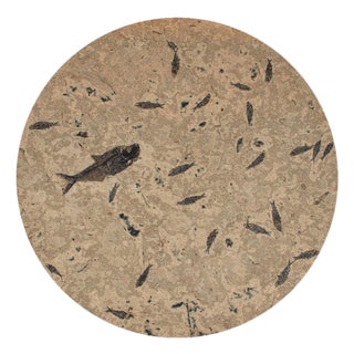 50 Million Year Old Fossil Fish Dining Table, Green River Formation, Wyoming For Sale