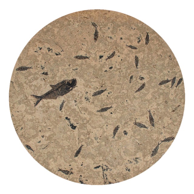 50 Million Year Old Fossil Fish Dining Table, Green River Formation, Wyoming For Sale