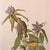 Farmhouse 1966 Vintage Farmhouse Cottage Print "Connecticut Warbler" After John James Audubon For Sale - Image 3 of 7
