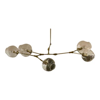 Lindsey Adelman 5-Globe Branching Bubble in Brushed Brass/Clear Glass For Sale