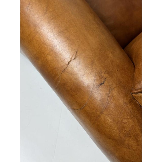 Club Chairs by Bart van Bekhoven, Set of 2 For Sale - Image 17 of 18