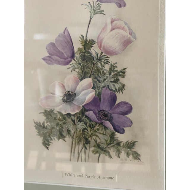 1960s 1960s Bertha S Vester 2 Floral Lithographs in Gold Frames For Sale - Image 5 of 6